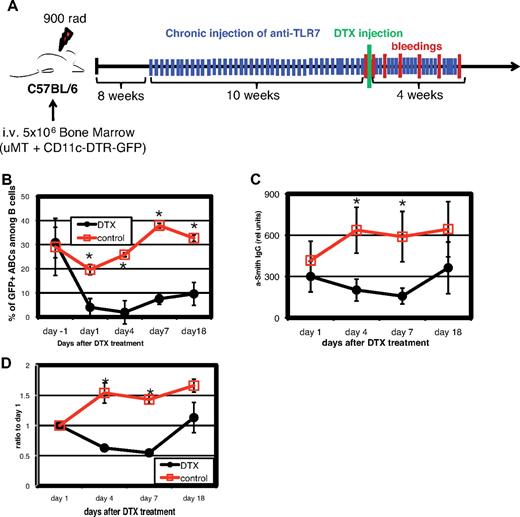 Figure 6. Depletion of ABCs reduces amount of autoantibodies in serum. Bone marrow chimeras were constructed as described under “Generation of bone marrow chimeras” such that the only CD11c population that entirely expressed the DTR was that of the ABCs. The chimeras were injected 3 times a week with TLR7 agonist, and 8 to 12 weeks later, they were analyzed for their titer of anti-Smith antibodies. The mice were assigned to control and DT-treated groups by matching mice between the groups for their titers of anti-Smith antibodies and then injected as controls or with DT. (A) Schematic outline of the experiment. (B) Percentage of ABCs in blood before and after injection of DT. (C) Anti-Smith IgG autoantibodies were measured by ELISA in mouse serum at various times after injection of DT. (D) Data presented in Figure 7C are normalized to titers of anti-Smith antibodies of day 1. Bars in panels B through D represent mean (± SEM) of at least 5 mice per group. Data are representative of 2 independent analyses. *P < .05 (Student 2-tailed t test).