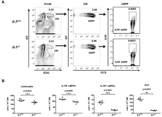 Figure 1. IL-7 is important for the normal maintenance of early IL-7 receptor-positive progenitors. (A) Representative FACS plots showing the gating strategies used to identify IL-7R+ early progenitor cells (LMPPs and CLPs) among lineage low/negative progenitors from normal (IL-7+/+) as well as IL-7–deficient (IL-7−/−) mice, as indicated. The percentages in the gates are mean percentages of total BM-nucleated cells. LIN cocktail contains antibodies against CD11b, GR1, TER119, CD3, CD11c, NK1.1, CD19, and CD45R/B220. (B) Absolute numbers of the total cellularity, IL-7R−LMPPs, IL-7R+LMPPs and CLPs in the BM (femurs, tibias, and crista iliac) of wt and IL-7–deficient mice (n = 6 of each genotype). Each dot represents the number from an individual mouse, and the horizontal line represents the mean in each group. Unpaired t test was used to compare the difference between wt and IL-7−/− mice. Data are collected from 2 independent experiments.