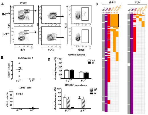 Figure 2. CLPs from IL-7 knockout mice are deficient in B-lymphoid commitment but retain their B-lymphoid potential. (A) Representative FACS plots of reporter gene expression within the LIN−Flt-3+IL-7R+Sca1lowKitlow CLP/Fraction A compartments. LIN cocktail contains antibodies against CD11b, GR1, TER119, CD3, CD11c, LY6C, and NK1.1. (B) Summary of the FACS data analyzing reporter gene expression in CLP/Fraction A cells or CD19+ cells collected from 6 IL+/+ and 6 IL−/− mice. Each dot represents one IL+/+ (white) or IL−/− (black) mouse, and the horizontal line represents the mean in each group. (C) Color-coded bar with data collected by single-cell multiplex RT-PCR analysis from CLPs sorted from normal and IL-7–deficient mice. Each horizontal line of boxes represents a single investigated cell collected from 2 independent sorting experiments. A colored box indicates that an RT-PCR product from a given gene could be detected on an ethidium bromide–stained agarose gel. (D) Top: Lymphoid cell cloning frequency of seeded single CLPs collected from normal (IL-7+/+) or IL-7–deficient mice (IL-7−/−; white bars), and the frequency of clones that contain cells expressing CD19 as analyzed by flow cytometry (black bars) after 8 days of incubation on OP9 stroma cells under B-cell–promoting culture conditions. Bottom: Data from cocultures of single sorted wt or IL-7–deficient CLPs incubated on OP9DL stroma cells to stimulate the development of THY1.2+ T-lineage cells. White bars represent total lymphoid cell cloning frequency, striped bars the frequency of T-cell clones, and black bars the frequency of CD19+ B-cell clones. The data are presented as mean + SEM from 3 independent experiments. Cells in both panels have been cultured in the presence of 10 ng/mL KL, 10 ng/mL IL-7, and 10 ng/mL FLT3L.