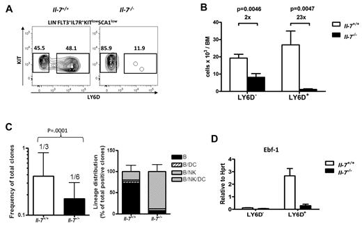 Figure 3. B-lymphoid development is blocked in the transition from LY6D− to LY6D+ CLP populations. (A) Representative FACS analysis displaying LY6D+ and LY6D− populations within the Flt-3+IL-7R+Sca1lowKitlow CLP from BM (femurs and tibias) of normal (IL-7+/+) and IL-7–deficient (IL-7−/−) mice. The numbers in the panels are mean percentages of LY6D+/− cells of total CLP. (B) Collective data displaying absolute numbers of LY6D− and LY6D+ CLP populations in wt (white bars) and IL-7–deficient mice (black bars). The data are mean + SEM, from 6 mice of each genotype, analyzed in 2 independent experiments. (C) Total cloning frequency (left) and lineage distribution (right) within BM CLPLY6D+ cells from IL-7+/+ and IL-7−/− mice. The CLPLY6D+ cells were sorted and manually plated at limiting doses (1, 2, and 5 cells/well for IL-7+/+ and 2, 5, and 10 cells per well for IL-7−/− cells) in 96-well plates. The frequencies were calculated based on numbers of positive wells using L-Calc software (StemCell Technologies, http://www.stemcell.com/tutorials/lcsetup.exe). The bars show mean 95% confidence interval. The difference between the 2 genotypes was compared by 2-tailed t test built in L-Calc software. For investigation of lineage potentials, the obtained cultures were analyzed by FACS for expressions of different lineage markers, including B cells (CD19+B220+), DCs (CD11C+), and NK cells (NK1.1+). The clones were defined as positive when having a minimum of 0.02% of each of the B, NK, and DC lineages and ≥ 10 gated events with an analysis of a minimum 25 000 blood cells. Bars are mean + SD. (D) Q-PCR analysis of expression of Ebf-1 in LY6D+ and LY6D− CLPs from normal (IL-7+/+) and IL-7–deficient (IL-7−/−) mice. The data are normalized to the expression of Hprt, collected from 3 independent sorting experiments, and analyzed by triplicate Q-PCR reactions. The data are mean + SEM.