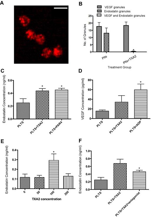 Figure 2. TXA2 mediates release of Endostatin from platelets. (A) Immunofluorescence of platelets (plts) activated with TXA2 (100μM) and labeled with VEGF (red) and endostatin (green). Scale bar is 2μm in size. (B) Number of granules labeled with VEGF, endostatin, or VEGF and endostatin, in resting platelets or platelets incubated with TXA2. Numbers represent average granule counts from immunofluorescence images. (C) Endostatin concentration in the releasate of resting platelets or platelets activated with TXA2 or PAR4. (D) VEGF concentration in releasate generated from platelets resting or activated with TXA2 or ADP. (E) Endostatin concentration in the releasate generated from platelets activated with various concentrations of TXA2. (F) Endostatin concentration in the releasate generated from platelets pretreated with TXA2 antagonist before exposure to TXA2. * indicates P < .05.