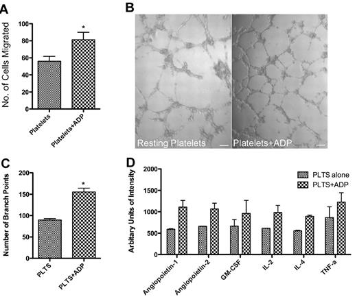Figure 3. Promotion of angiogenesis by ADP-stimulated platelet releasates. (A) Endothelial cell migration after exposure to the releasate from control, resting platelets (plts) or platelets activated with 25μM ADP. (B) Capillary tube formation with exposure to the releasate from resting platelets or platelets activated with 25μM ADP. The scale bar is 100μm in size. (C) Quantification of branch points generated by the releasate of platelets alone or platelets exposed to ADP. (D) Representative graph of angiogenic factors as measured by protein array that were found to have a 1.5-fold increase. * indicates P < .05.