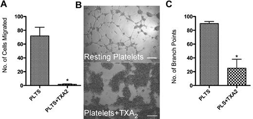 Figure 4. Inhibition of angiogenesis by thromboxane-stimulated platelet releasates. (A) Endothelial cell migration after exposure to the releasate from resting platelets (plts; control) or platelets activated with 100μM TXA2. (B) Capillary tube formation with exposure to the releasate from platelets activated with 100μM TXA2. The scale bar is 300μm in size. (C) Quantification of branch points generated by the releasate of platelets alone or platelets exposed to TXA2. * indicates P < .05.