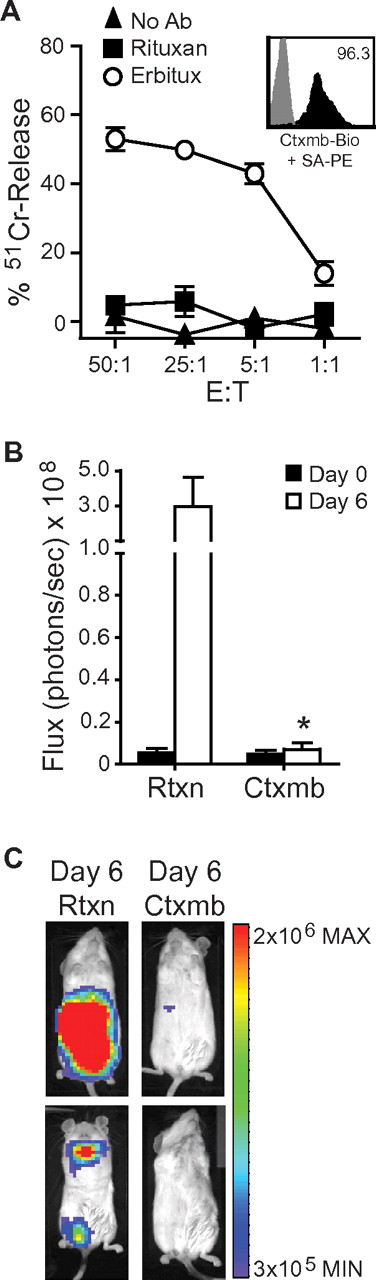 Figure 6. Use of EGFRt as a target for Erbitux-mediated ADCC of engineered cells. (A) 51Cr-labeled huEGFRt-selected T cells (inset depicts huEGFRt expression) were mixed with 1 μg/mL of Erbitux or Rituxan as a negative control before addition of GM-CSF–stimulated human PBMCs as effectors. The percentage 51Cr-release was then determined after a 4-hour incubation. Data are representative of 2 separate experiments. (B) NOD/scid mice were inoculated intravenously with ffLuc+huEGFRt+ CTLL-2 cells. On successful engraftment (day 0), the mice were divided into 2 groups (n = 5) and then treated with either Erbitux (Ctxmb) or Rituxan (Rtxn) intraperitoneally daily for 6 days. Data are ± SE; total flux levels of luciferase activity were measured by Xenogen imaging. *P = .0159, the flux of Erbitux versus Rituxan-treated mice at day 6 using the Mann-Whitney test. (C) Representative bioluminescence images of NOD/scid mice from (B) at day 6.