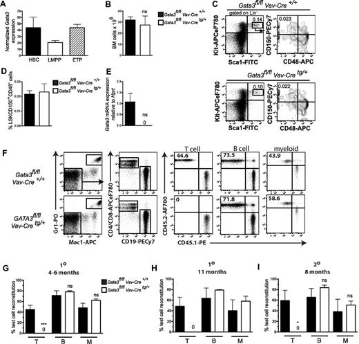 Figure 1. Phenotypic and functional characterization of HSCs in Gata3fl/fl Vav-Cretg/+ mice. (A) Gata3 mRNA expression in 1-week-old WT LSKFLT3−CD150+CD48− HSCs, LSKFLT3hiIL7R− lymphoid-primed multipotent progenitors, and Lin−CD25−KIT+FLT3+ early thymic progenitors. Data are expressed as mean (SEM) normalized Robust Multi-Array Averages (RMA) expression (“Gene expression analysis”). n = 3 experiments. (B) BM cellularity in 1-week-old Gata3fl/flVav-Cre+/+ and Gata3fl/flVav-Cretg/+ mice. Data are mean (SD); n = 3 or 4 mice/genotype. ns indicates not significant. (C) Fluorescence-activated cell sorter profiles from representative mouse showing gating strategy for LSKCD150+CD48− cells in 1-week-old mice. Numbers indicate percentage of total BM cells within the indicated gate. n = 3 or 4 mice/genotype. (D) Bar graphs represent mean (SD) frequency of LSKCD150+CD48− cells. n = 3 or 4 mice/genotype. ns indicates not significant. (E) Bar graphs show mean (SEM) Gata3 mRNA expression levels (relative to Hprt) in LSKCD150+CD48− HSCs isolated from 1- to 2-week-old Gata3fl/fl Vav-Cre+/+ or Gata3fl/fl Vav-Cretg/+ mice. (F-I) A total of 0.5 to 2 million BM cells from 1- to 2-week-old Gata3fl/fl Vav-Cre+/+ or Gata3fl/fl Vav-Cretg/+ mice (CD45.2) were transplanted into lethally irradiated (900 cGy) WT (CD45.1) recipients together with a similar dose of competitor WT (CD45.1) adult BM cells. (F) Representative fluorescence-activated cell sorter analysis of peripheral blood 4 months after transplantation. Numbers indicate percentage of indicated gate within reconstituted T (CD4+/CD8+), B (CD19+), and myeloid (Gr1+Mac1+) cells. n = 3 to 6 mice/group. (G-H) Mean (SEM) percentage of test cell (CD45.2+) reconstitution within the T, B, and myeloid blood cell lineages, respectively, 4 to 6 (G) or 11 (H) months after transplantation. (G) n = 6 to 9 mice/group. (H) n = 2 or 3 mice/group. (I) Six months after primary transplantation, one-half femur equivalent from each primary recipient was transplanted into one secondary WT (CD45.1) recipient. Secondary recipients were analyzed 8 months later. Data show mean (SEM) percentage of test cell reconstitution within T, B, and myeloid reconstituted cells, respectively. N = 3 to 6 mice/group. 1° indicates primary reconstitution; and 2°, secondary reconstitution. *P < .05. ***P < .001. ns indicates not significant.