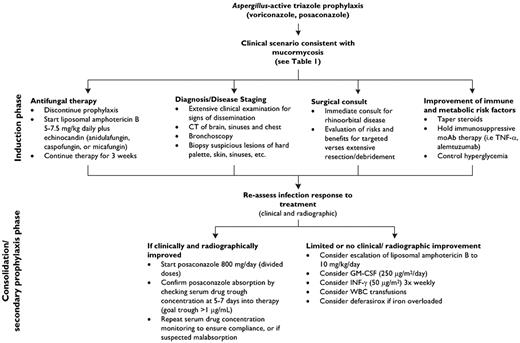 Figure 3. A clinical approach to presumed and documented mucormycosis in the patient with hematologic disease.