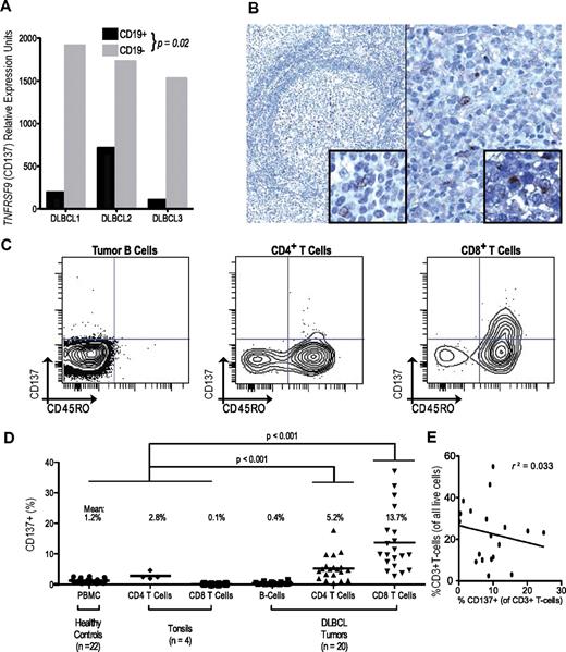 Figure 2. TNFRSF9 (CD137) expression is limited to a subset of the DLBCL tumor microenvironment. (A) Within sorted subpopulations, TNFRSF9 is more highly expressed in nontumor (CD19−) than tumor cells (CD19+).18 (B) Immunohistochemical analysis of CD137 expression among rare infiltrating cells in normal tonsil (40×, left) and a representative DLBCL from 75 tumors (200×, right). Insets show high magnification of individual positive infiltrating cells (600×). (C) Flow cytometric evaluation of CD137 expression in a representative DLBCL tumor showing lack of expression among tumor cells but detectable expression in a small proportion (5.9%) of CD4+ T cells and a larger proportion (28.6%) of CD8+ T cells. (D) Analysis of T cells in tonsils, PBMCs, and DLBCL tumors demonstrates CD137 expression on CD4+ and CD8+ T cells in the tumor microenvironment, but not on healthy lymphoid counterparts. (E) Fraction of CD137-expressing T cells is not correlated with total T-cell frequency in DLBCL tumors.
