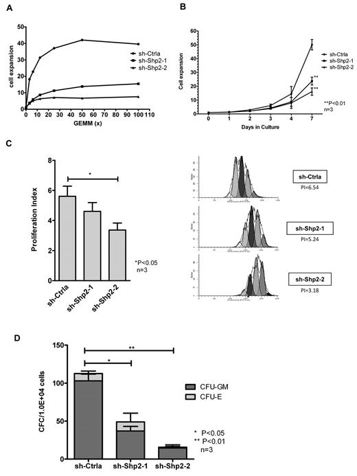 Figure 2. SHP2 knockdown in CD34+ cells results in significantly reduced progenitor proliferation in response to GF stimulation. (A) CD34+DsRED+ cells were cultured in 96-well plates with graded concentrations of a GF combination (SCF, GM-CSF, G-CSF, IL-3, and erythropoietin) including for 72 hours, and the number of cells was analyzed using an MTS assay. Representative results showing inhibition of SHP2 expression significantly reduced cell proliferative response to GF stimulation. (B) CD34+DsRED+ cells were cultured for 7 days in high concentrations of GFs as used in CFC culture and expansion in cell numbers evaluated. Data are mean ± SEM of 3 experiments. **P < .01, SHP2 shRNA-transduced cells compared with sh-Ctrla. (C) CD34+DsRED+ cells were labeled with CFSE and cultured in low, physiologic concentrations of GF for 3 days. Cell division was evaluated on the basis of reduction of CFSE fluorescence intensity. A proliferation index was calculated based on the using ModFit LT 3.0 software. Data are mean ± SEM of 3 experiments. *P < .05. Representative ModFit analysis results from 1 experiment are shown. (D) CD34+DsRED+ cells (1 × 104) were placed in methylcellulose CFC culture, and colonies were counted after 14 days culture. Data are mean ± SEM of 3 experiments. Knockdown of SHP2 significantly reduced colony formation ability of CB CD34+ cells. *P < .05 for sh-Shp2-1, and **P < .01 for sh-Shp2-2 compared with sh-Ctrla.