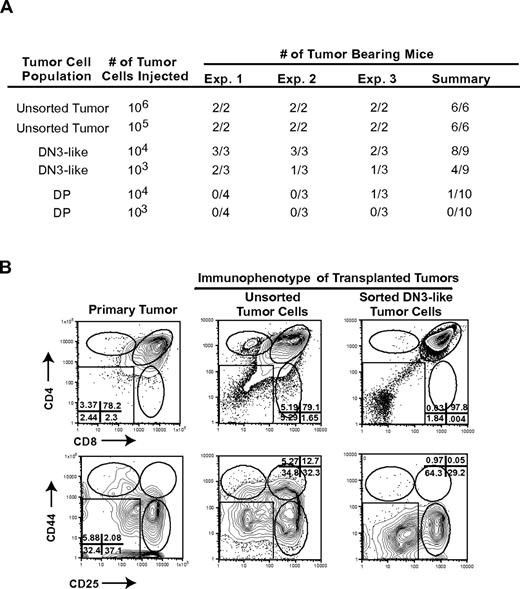 Figure 5. Tumor-associated thymic progenitors are enriched in disease initiating potential. Leukemic cells from Tal1/Lmo2 mice were stained with CD4, CD8 antibodies, and lineage-negative cells were stained with CD25 and CD44 antibodies. (A) Tal1/Lmo2 mouse T-ALL cells were left unsorted or sorted into DN3 or DP populations by flow cytometry. Serial dilutions of unsorted, purified DP, or DN3 cells were transplanted into syngeneic recipients and monitored for disease. Three independent Tal1/Lmo2 tumors were analyzed. (B) Purified DN3 cells recapitulate the leukemic immunophenotype. Leukemic cells were isolated from mice transplanted with unsorted or purified DN3 cells and stained with CD4, CD8 antibodies, and lineage-negative cells were stained with CD25 and CD44 antibodies and analyzed by flow cytometry. Three Tal1/Lmo2 mouse T-ALLs were reexamined; one representative tumor is shown.