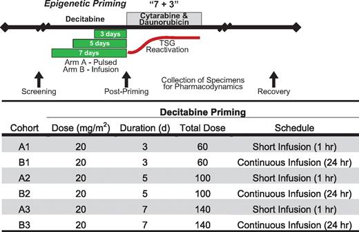 Figure 1. Dose escalation schema. Decitabine (20 mg/m2) was administered either as a short infusion (Arm A) or by continuous infusion (Arm B) for 3, 5, or 7 days (dose levels 1, 2, and 3, respectively) before standard infusional cytarabine, daunorubicin induction chemotherapy (7 + 3). Bone marrow and blood specimens were collected for pharmacodynamic analyses before and immediately after decitabine administration. The red line represents the hypothesized reactivation of chemosensitizing tumor suppressor genes (TSGs) resulting from epigenetic priming.