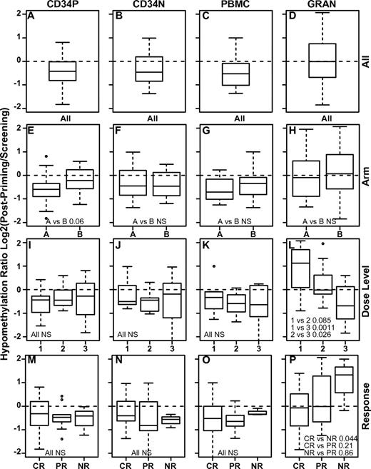Figure 5. Early pharmacodynamic analyses of DNA hypomethylation. Shown is the hypomethylation ratio induced by decitabine in 4 different cell populations: CD34P indicates bone marrow CD34+ mononuclear cells (A,E,L,M); CD34N, bone marrow CD34-depleted mononuclear cells (B,F,J,N); PBMCs (C,G,K,O); and GRAN, peripheral blood granulocytes (D,H,L,P). The hypomethylation ratio is calculated as the ratio of DNA methylation detected just after completion of decitabine priming to that detected before beginning decitabine. The hypomethylation ratio is shown for all subjects (A-D), for subjects treated on each arm (E-H), at each dose level (I-L), and according to treatment response: CR, PR, or NR (M-P). Paired t test P values are indicated (NS indicates that the P value was nonsignificant).