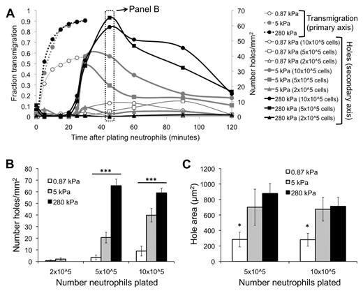 Figure 5. EC hole formation begins when neutrophil transmigration has reached a maximum. (A) Fraction of neutrophils that have transmigrated (primary vertical axis) as a function of time after addition of neutrophils is shown for varying substrates (0.87, 5, 280 kPa). Also plotted is the number of holes per area (secondary vertical axis) as a function of time after addition of neutrophils, for varying substrates and number of neutrophils plated. (B) Data from panel A at T = 45 minutes are highlighted. Shown is the number of holes per area on each of the substrates, with varying numbers of neutrophils. (C) The area of holes at T = 45 minutes is quantified for varying substrate stiffness and number of neutrophils plated. Bars represent average. Error bars represent SE. *P < .05 (using ANOVA). ***P < .001 (using ANOVA).