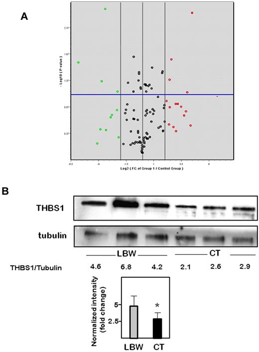 Figure 4. Changes in gene expression in LBW-ECFCs. PCR arrays for angiogenesis genes were performed as described in “Methods.” Data represent mean changes of experiments using 3 independent < 1500-g LBW-ECFCs and > 2700-g CT-ECFCs. (A) Volcano plot of angiogenesis PCR array. The x-axis indicates the fold change in Log2 scale; and the y-axis, P value in −Log10 P scale. Using a 2-fold change and a P value of .05 as the cutoff threshold, 11 genes from the left region and 15 from the right region were selected. Red represents high level of expression; green, low level of expression; and black, no change. (B) Representative experiments of THBS1 Western blot in 3 independent < 1500-g LBW-ECFCs or > 2700-g CT-ECFCs. Cell lysate (40 μg) was resolved on 4% to 12% SDS-PAGE gradient under reducing conditions. The blots were probed with anti-THBS1 monoclonal antibody or anti–β-tubulin as loading control. Numbers represent a relative quantification performed by determining the ratio THBS1/tubulin intensities. Bars represent mean ± SEM of the relative intensities. *P < .05.