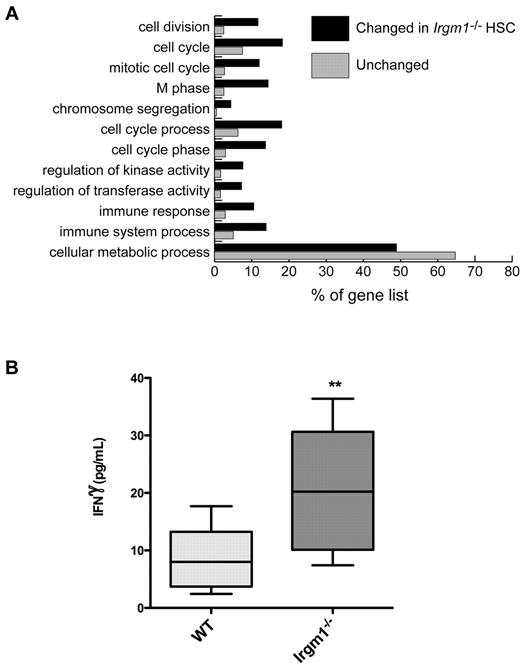 Figure 1. The expression profile for Irgm1−/− HSCs shows enrichment of cell proliferation and immune-related GO categories; IFNγ levels are increased. (A) Genes that were differentially expressed in Irgm1−/− HSCs were subjected to an analysis of GO category enrichment by use of the FatiGO webtool (Babelomics 4.2). This tool compared genes differentially regulated in KO HSCs (black bars) against all other genes (unchanged genes: gray bars); these lists were analyzed for assortment into GO categories. Genes from cell-cycle/M-phase and immune categories were overrepresented in the list of differentially expressed genes. Only GO categories that showed a significant difference (P < .05) between the list of genes differentially expressed and those that were not changed in KO HSCs are shown. (B) IFNγ levels in serum from WT and Irgm1-deficient mice were quantified by ELISA. n = 10. Box and whiskers plot represents the 25th-75th percentile and 95% confidence intervals. **P < .01.