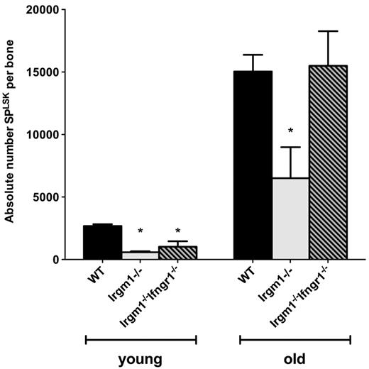 Figure 5. The absolute number of HSCs is depleted in the BM of aged Irgm1−/− mice. The absolute number of HSCs (SPLSK) per bone is indicated. Mice were either 8-10 weeks (young) or 12 months of age (old) for all genotypes. For each bar, n = 3. Data are representative of 2 independent experiments. *P < .05.