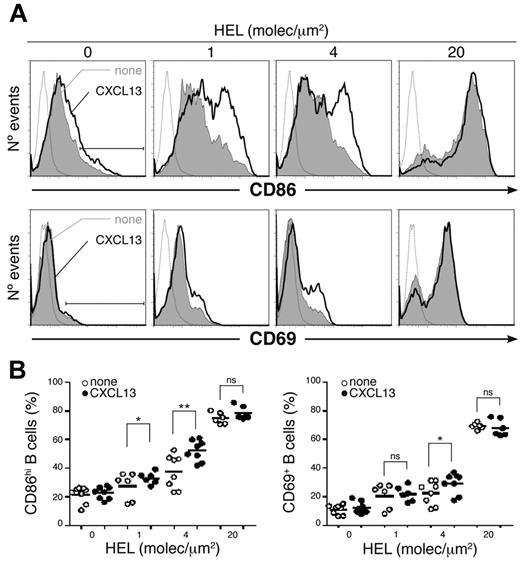 Figure 4. CXCL13/CXCR5 signaling effect on B-cell activation by antigen. (A) CD86 (top panels) and CD69 (bottom panels) profiles of a representative experiment of MD4 B cells settled on membranes with tethered HEL at the specified densities alone (gray filled histogram) or with CXCL13 (black line). Dashed gray line is the isotype control; black bar, CD86hi and CD69+ B cells. (B) Frequency of CD86hi (left panel) and CD69+ (right panel) MD4 B cells in the same conditions as in panel A; dots represent single experiments; black horizontal bars, averaged values. All experiments were performed in the presence of ICAM-1 (150 molecules/μm2). ns indicates not significant. *P < .05; **P < .001.