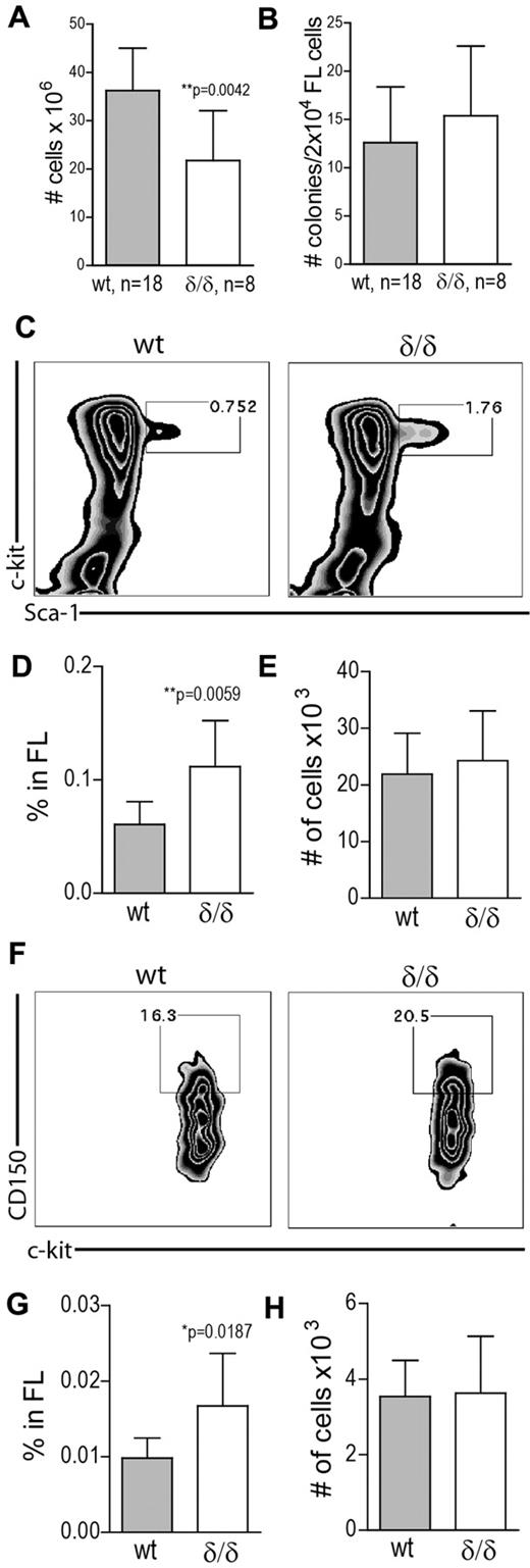 Figure 5. HSPC frequency is increased in FL cells lacking hypoxic Vegfa induction. (A) FL cellularity of Vegfaδ/δ or WT mice. Results shown are combined data from 5 independent experiments. Bars represent mean ± SD, **P = .0042 Mann-Whitney test. (B) Total CFU frequency was measured by plating 2 × 104 FL cells/mL in methylcellulose followed by incubation in normoxia for 7 days. Results shown are data combined from 4 independent experiments. (C) The frequency of LSK cells in FL was measured by FACS analysis. Representative FACS plots of lineage− gated cells. (D) Percentage LSK cells in FL. **P = .0059, t test. (E) Total number of LSK cells per FL. (F) The frequency of LSK CD150+ cells in FL was measured by FACS analysis. Representative FACS plots of LSK gated cells are shown. (G) Percentage LSK CD150+ cells in FL. *P = .0187, t test. (H) Total number of LSK CD150+ cells per FL. Results shown in panels C-H are data combined from 4 independent experiments. Bars represent mean ± SD, n = 8-9 mice per genotype.