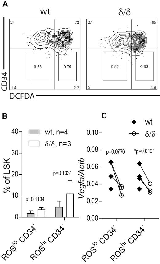 Figure 7. Vegfa expression in ROSlo and ROShi HSC populations. BM cells from Vegfaδ/δ or WT mice were stained with markers to detect LSK CD34 and DCFDA to detect ROS. (A) Representative FACS profiles of LSK gated cells showing gates used for sorting of CD34− ROSlo and CD34− ROShi populations. (B) Percentage LSK CD34− ROSlo and LSK CD34− ROShi cells within LSK gated cells. Bars represent mean ± SD. P values are from t test. (C) Vegfa expression in sorted subpopulations. Each dot represents an individual mouse and connecting lines are between littermate pairs. P values are from paired t test. Results shown are data combined from 2 independent experiments.