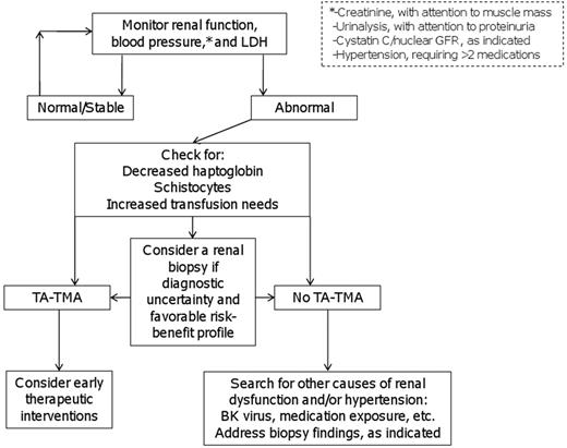 Figure 4. A “renal-centric” approach to detect TA-TMA. Because TA-TMA is unlikely to occur without alterations in renal function or blood pressure, careful routine monitoring of these parameters in the context of HSCT can aid in the differential diagnosis. This includes close attention to creatinine (and its dependence on muscle mass), other potentially more reliable measures of GFR (ie, cystatin C), urinalysis findings, and blood pressure readings. Evidence for proteinuria should be quantified by a first-morning spot urine protein-to-creatinine ratio (> 0.2 mg/mg is elevated). Patients with elevated LDH, abnormal renal findings or elevated blood pressure or a combination should be carefully screened for TA-TMA according to current guidelines and clinical findings. In the presence of diagnostic uncertainty, the benefit of tissue diagnosis, especially renal biopsy, should be carefully weighed against procedural risks. Potential therapeutic interventions to consider for patients with TA-TMA include calcineurin inhibitor withdrawal, plasma exchange, and rituximab. Patients without TA-TMA should be assessed for other causes of renal dysfunction or hypertension, including, but not limited to, BK virus and medication exposure (eg, steroids, calcineurin inhibitors, chemotherapeutic agents, or antimicrobials).