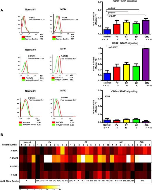 Figure 2. Phospho-flow demonstrates the induction of multiple signaling pathways in CD34+ cells from patients with MPN. (A) Representative histogram profiles of phospho-ERK (top row), phospho-STAT5 (middle row), and phospho-STAT3 staining (bottom row) in a control and an MF patient (left and middle panels, respectively) are shown. Note that the median florescence intensity (MFI) of the isotype control (green) is different between each of the 2 patient and control samples. Therefore, for each patient sample, a relative value, the -fold increase, was calculated by dividing the MFI of the test antibody (red) by the MFI of the isotype control (green). The bar charts on the right show the results from all patient samples represented as the -fold increase ± SEM. No significant difference in signaling was noted between the 3 different MPNs. However, significant activation of basal signaling was seen for ERK pathway in ET and MF patients compared with controls. (B) A signaling heat-map table is shown for all control and MPN samples analyzed. For each individual in our cohort, the results of the signaling analysis are shown graphically. The patient and control numbers correspond with those shown in the histograms in panel A. Where the patient is JAK2 V617F positive, we have also documented the allele burden of the CD34+/CD38− compartment. A degree of signaling heterogeneity is demonstrated, even between patients within the same disease/control phenotype.