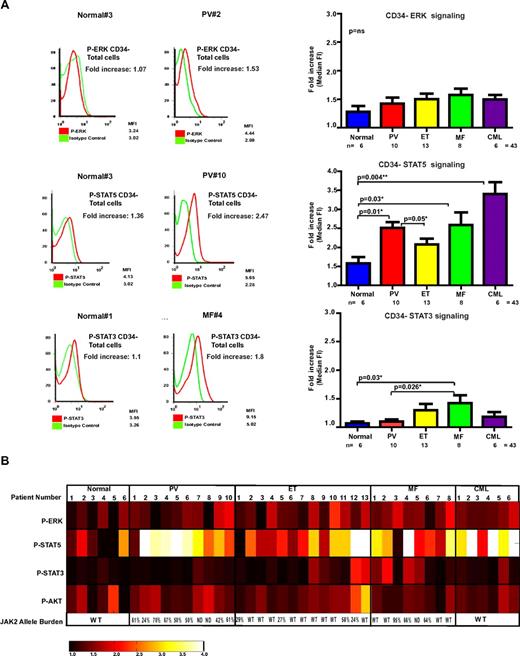 Figure 3. Differences in STAT5 signaling and MF-specific STAT3 signaling in CD34− cells from patients with MPN. (A) Representative histogram profiles of phospho-ERK (top row) and phospho-STAT5 (middle row) staining in a control and a PV patient (left and center panels, respectively). Phospho-STAT3 staining (bottom row) is shown for an MF patient and a control. The bar graph on the right shows increased STAT5 signaling in MPN patients, which reached statistical significance in PV and MF patients compared with controls. There was also a statistical significant difference in STAT5 signaling between PV and ET patients. Statistically significant STAT3 signaling compared with controls and PV occurred only with MF patients. (B) A signaling heat-map table is shown for all control and MPN CD34− samples analyzed. The patient numbers correspond to those in Figure 2B plus additional patients for whom CD34− cells were available for analysis. Where the patient is JAK2 V617F positive, we have also documented the allele burden of the CD34−/GPA+/CD71+ compartment.