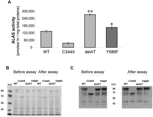 Figure 2. Prokaryotic expression of WT and mutated ALAS2 proteins. (A) Rates of ALA formation by bacterial lysates expressing either WT ALAS2, negative control with a misense mutation (C344X), a gain of function control (delAT), and Y586F-mutated ALAS2; data are expressed as mean ± SD for 3 experiments. *P < .05; **P < .001 (Student t test). (B) Coomassie blue stain of a 8% acrylamide gel with lysates of E coli cells expressing either WT or mutated ALAS2 cDNAs and run on acrylamide gel. Lysates were prepared either after the sonication step (ie, before assay) or after the assay (20 minutes at 37°C). (C) Western blot analysis of lysates of E coli cells expressing either WT or mutated ALAS2 cDNAs. After protein transfer, detection was performed by incubating the membranes with a primary antibody directed against the MBP tag. A prestained protein ladder was used as molecular weight markers (MW).
