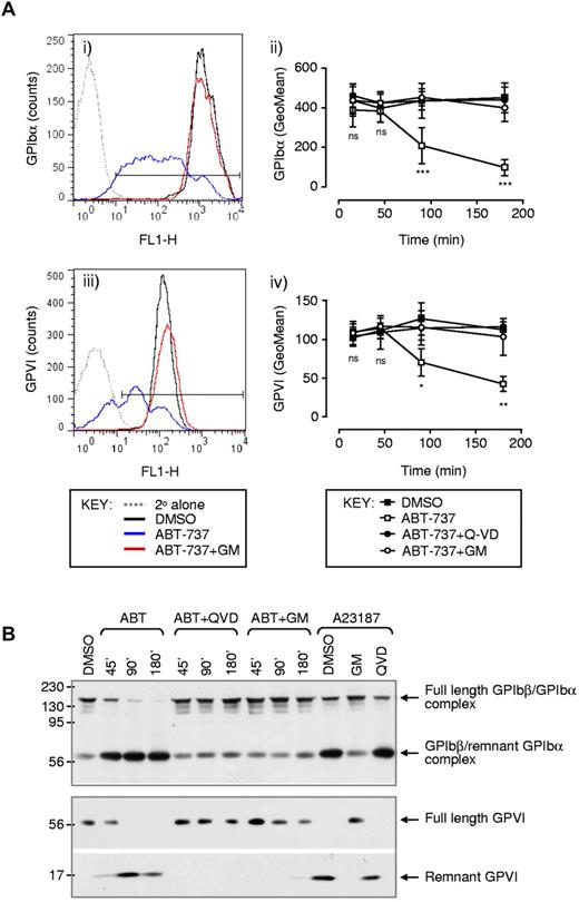 Figure 3. Ectodomain shedding of GPIbα and GPVI from the surface of apoptotic platelets. Washed human platelets were preincubated with vehicle (DMSO), Q-VD-Oph (Q-VD: 50μM), or GM6001 (GM: 100μM) before treatment with vehicle (DMSO) or ABT-737 (1μM) for the indicated times or 180 minutes (Ai,iii). (A) Platelets were fixed and the surface expression of GPIbα (i-ii), and GPVI (iii-iv) was examined by flow cytometry, as described in supplemental Methods. In some experiments (B), platelets were lysed under nonreducing conditions and GPIbα and GPVI were immunoblotted, as described in supplemental Methods. Images and flow cytometry profiles (Ai,iii,B) are taken from 1 experiment representative of 3 independent experiments. (Aii,iv) Date are the mean ± SEM (n = 3). ns indicates not significant. *P < .05. **P < .01. ***P < .001.