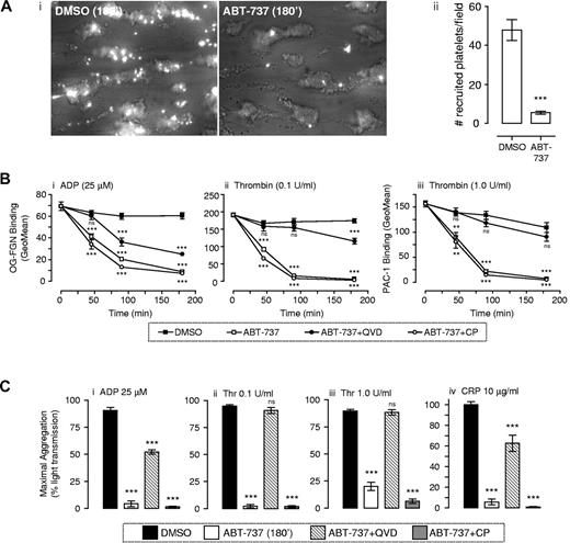 Figure 4. Apoptotic platelets demonstrate reduced integrin αIIbβ3 activation, aggregation, and recruitment to forming thrombi under flow conditions. (A) Human whole blood was “spiked” with fluorescently labeled washed platelets treated with either vehicle (DMSO) or ABT-737 (1μM). The recruitment of vehicle or ABT-737–incubated platelets to forming thrombi was quantified as described in supplemental Methods. (i) Images are taken from 1 experiment representative of 3 independent experiments, with the mean ± SEM (n = 3) depicted in subpanel ii. (B-C) Effect of ABT-737 on integrin αIIbβ3 activation and platelet aggregation. Washed platelets resuspended in Tyrode buffer in the presence of BSA (5 mg/mL) were pretreated with vehicle (DMSO) or ABT-737 (1μM) for the indicated time periods, or 180 minutes. In some experiments, platelets were pretreated with Q-VD-Oph (Q-VD: 50μM) or calpeptin (CP: 100 μg/mL). (B) Integrin αIIbβ3 activation was measured after stimulation with ADP (25μM, 30 seconds), thrombin (0.1 or 1.0 U/mL, 5 minutes), or CRP (10 μg/mL, 5 minutes) in the presence of Oregon green–labeled fibrinogen (OG-FGN; 20 μg/mL) or FITC-PAC1, and quantified by flow cytometry, as indicated in supplemental Methods. Line graphs represent the mean ± SEM (n = 3). (C) Aggregation in response to the indicated concentration of agonist was monitored as described in supplemental Methods. Histograms represent maximal aggregation (mean ± SEM, n = 4). ns indicates not significant. **P < .01. ***P < .001.
