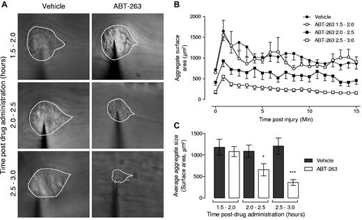 Figure 7. ABT-263 treatment inhibits platelet thrombus formation in vivo. Platelet aggregate formation following ABT-263 (25 mg/kg orally) treatment in vivo was examined in mouse mesenteric venules after needle puncture injury, performed between 1.5 and 3 hours after ABT-263 treatment, and data grouped accordingly in half-hour intervals after treatment. Subsequent platelet accrual over a 15-minute period was monitored by intravital microscopy. (A) Representative images of average aggregate surface area from vehicle- or ABT-263–treated mice during the indicated time period. For clarity, platelet aggregates are demarcated. (B) The cumulative size of forming aggregates (μm2) measured over 50-second intervals for a maximum of 900 frames (15 minutes; 1 frame = 1 second). (C) Quantification of the average aggregate surface area (μm2) measured over 50-second intervals for a maximum of 900 frames (15 minutes). (B-C) Data represent the mean ± SEM where: Ctl 1.5 to 2.0 hours, n = 10; ABT-263 1.5 to 2.0 hours, n = 10; Ctl 2.0 to 2.5 hours, n = 20; ABT-263 2.0 to 2.5 hours, n = 23; Ctl 2.5 to 3.0 hours, n = 15; and ABT-263 2.5 to 3.0 hours, n = 22. *P < .05, ***P < .001.