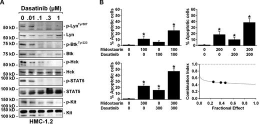 Figure 5. Synergistic drug interactions between midostaurin and dasatinib may be mediated by the Lyn/Btk pathway and downstream STAT5. (A) HMC-1.2 cells were kept in control medium or in the presence of various concentrations of dasatinib (0.01-1μM) for 4 hours. Thereafter, Western blot analysis was performed using Abs directed against p-LynTyr507, Lyn, p-BtkTyr223, Btk, Hck, p-STAT5, STAT5, and KIT. To detect Hck and KIT activation, immunoprecipitation was performed using an anti–Hck-Ab or anti-KIT Ab, followed by immunoblotting with anti-phospho tyr-Ab 4G10. (B) HMC-1.2 cells were incubated in control medium (no drugs: 0) or in medium containing midostaurin and dasatinib (100-300nM each as indicated) either as single drugs or in combination for 48 hours. Thereafter, the number of apoptotic cells was counted by light microscopy. Results represent the mean ± SD of 3 independent experiments. *P < .05 compared with control (0). The bottom right panel shows combination index (CI) values obtained in these experiments using Calcusyn Software. As visible, the CI values are all below 1.0 indicating synergistic drug interactions.