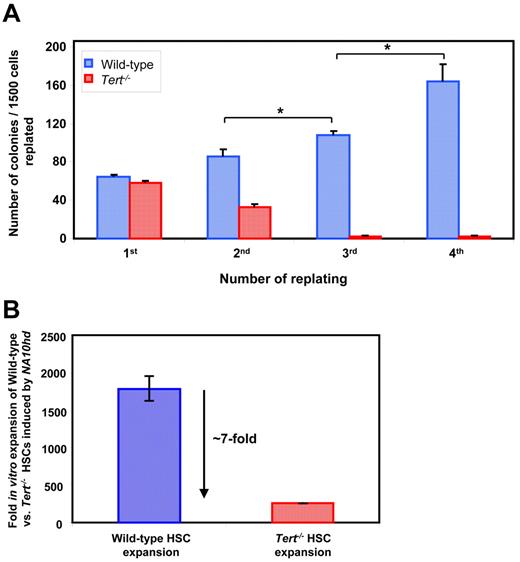 Figure 3. Absence of telomerase activity blunts NA10hd-induced self-renewal of myeloid progenitors and HSCs in vitro. Cultures were initiated with WT or Tert−/− BM cells from 5-FU pre-treated mice. Cells were transduced with NA10hd, expanded for 6 days in vitro and either plated in methylcellulose medium (A) or transplanted into lethally irradiated recipients (B). (A) Each 7 days of methylcellulose culture, generated colonies were counted, cells harvested, pooled and equal cell numbers replated for a total of 3 times to calculate the yield of granulocyte-macrophage colonies formed. Statistical significance was determined by application of the paired Student t test and is shown as *P < .05. (B) Mice were transplanted with limiting dilutions of cells used to initiate the cultures and with cells harvested at the end of expansion in vitro. Proportions of circulating B, T, and myeloid donor-derived (CD45.2+ or GFP+) WBCs were determined 4-6 months later. Fold in vitro expansions of WT and Tert−/− HSCs stimulated by NA10hd was estimated by determining the frequency, and hence HSC content in suspensions used to initiate and harvested from in vitro cultures. Results are expressed as the mean ± SEM of 2 independent experiments.