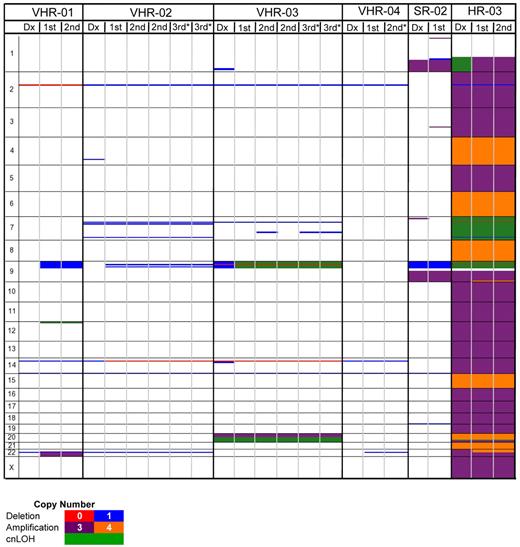Figure 4. Genetic lesions remain stable in xenograft cells. A copy number heat map was produced from log2 ratio Affymetrix SNP Version 6.0 analyses of 6 ALL patients and their corresponding xenografts of up to 3 subsequent amplification rounds. All CNAs of > 100 kb in size were included, also showing Ig/TCR gene rearrangements. Dx indicates diagnostic sample; and 1st, 2nd, and 3rd indicates first, second, and third amplification round, respectively. *The xenografts were obtained from transplantations with 100 cells.