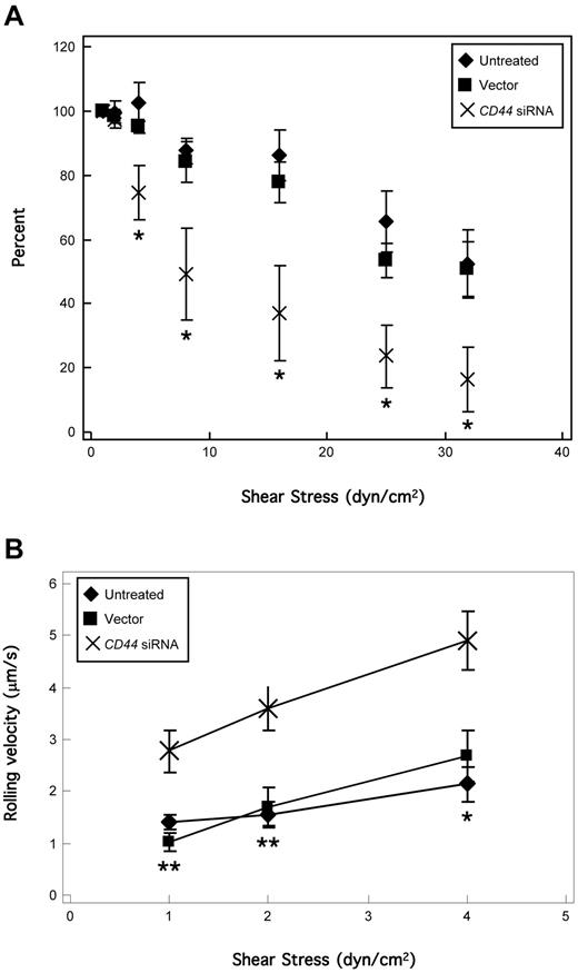 Figure 6. HCELL on KG1a cells is the primary mediator of shear-resistant E-selectin binding. (A) KG1a cells were perfused over CHO-E cell monolayers for 2 minutes at wall shear stress = 1 dyn/cm2; then detachment assays were performed by increasing shear stress stepwise every 30 seconds. The number of rolling cells at the end of each interval was counted and calculated as the percentage relative to the number of cells rolling at the start of the detachment assay (ie, end of the attachment period at 1 dyn/cm2). All binding was E-selectin–dependent, confirmed by inhibition of attachment in the presence of function-blocking anti–E-selectin mAb 68-5H11 and by treatment with EDTA (data not shown), and lack of binding of KG1a cells to CHO-mock cells. HCELL-mediated E-selectin binding was most evident at shear stress levels > 4 dyn/cm2. Data are mean ± SEM; n = 5. *P < .05, relative to untreated and vector controls. Importantly, on CD44 silencing no differences were observed on HECA-452 reactivity of PSGL-1/CLA (Figure 5C), which typically correlates with selectin binding capacity. (B) Velocity of KG1a cell rolling on CHO-E cells at each shear stress was calculated as the distance traveled by the centroid of the cell divided by the time period of observation (5 seconds). Cells lacking HCELL (CD44 siRNA-transduced) rolled significantly faster than those expressing HCELL (untreated, vector-transduced). Data are mean ± SEM; n > 20 cells. *P < .05, relative to untreated and vector control. **P < .01 relative to untreated and vector control.