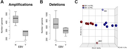 Figure 4. Quantification of CNV in PEL, separated by EBV status. (A) There are significantly more amplifications in EBV-negative PELs than in EBV-positive PELs. (B) Although there is increased deletion of markers in the EBV-negative population, there difference is less conclusive. (C) PCA shows that PEL cells in culture form 2 distinct groups correlative with their EBV infection status: blue indicates EBV(−) and brown EBV(+) samples. The x-, y-, and z-axes represent PC1, PC2, and PC3, respectively, accounting for 18.9%, 18.1%, and 11.3% of variability in the data.