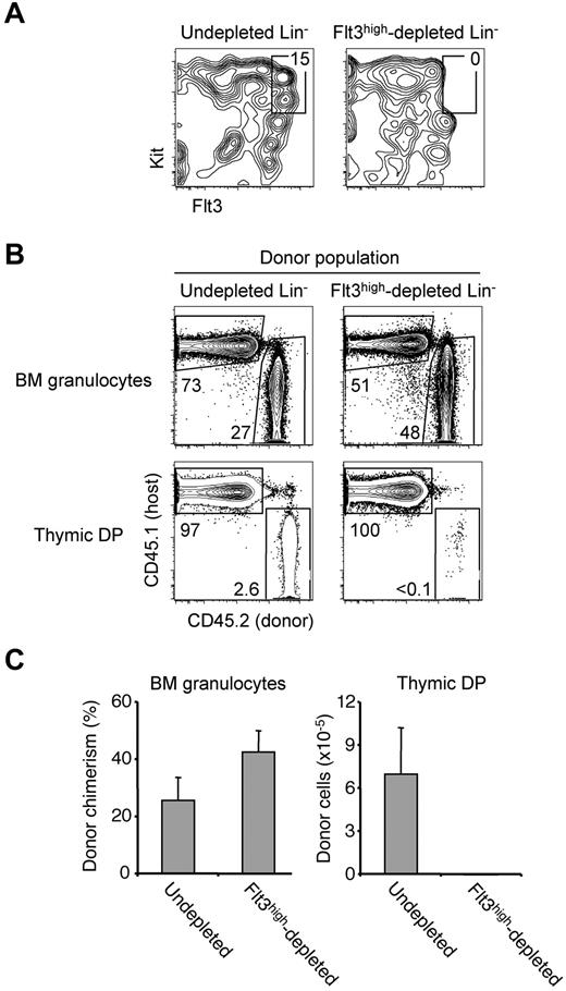 Figure 3. Efficient T-lineage progenitor activity resides within the BM Lin−Kit+Flt3high pool 2 weeks after BMT. (A) Total Lin− cells or Lin− cells depleted of all Kit+Flt3high cells were sorted from CD45.2 WT BM. Shown are plots of sorted populations gated on live singlets. No Kit+Flt3high cells were detected in the depleted sample. (B) A total of 1.2 × 105 undepleted Lin− cells (left column) or Kit+Flt3high-depleted Lin− cells (right column) were injected into CD45.1 WT recipients that had been lethally irradiated and transplanted with 2.5 × 105 host-type BM cells 2 weeks earlier. After an additional 15 days, BM and thymi of recipient mice were analyzed for donor contributions. Shown are representative plots gated on BM granulocytes (top row) and thymic DP cells (bottom row). (C) Mean donor chimerism plus or minus SEM of BM granulocytes (left panel) and mean numbers ± SEM of donor thymic DP cells (right panel). N = 3 to 6 per group.