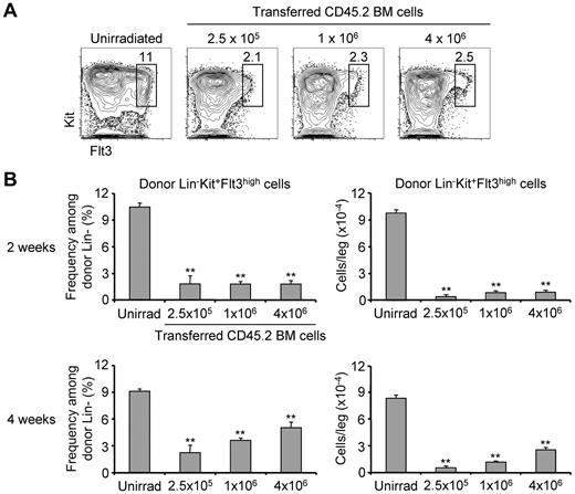 Figure 4. Defective reconstitution of BM Kit+Flt3high progenitors after BMT. (A) Noncompetitive chimeras were generated by lethally irradiating CD45.1 WT hosts and reconstituting them with 2.5 × 105, 1 × 106, or 4 × 106 CD45.2 WT BM cells. Two weeks after BMT, the BM was analyzed for donor contribution to progenitor populations. Shown are representative plots from chimeras transplanted with the indicated cell number; plots are gated on donor Lin− cells (or total Lin− cells for the unirradiated control). (B) Shown are the mean frequencies ± SEM of Kit+Flt3high cells among donor Lin− cells for unirradiated controls and each of the 3 chimera cohorts 2 weeks after BMT (top left panel). Multiplying these frequencies by the total leg (tibia plus femur) BM cellularity yielded the mean numbers ± SEM of donor Lin−Kit+Flt3high cells (top right panel). The same frequency (bottom left panel) and absolute number (bottom right panel) measurements were made on similar chimeras 4 weeks after BMT. **P < .01 compared with the corresponding unirradiated controls. N = 3 per group.