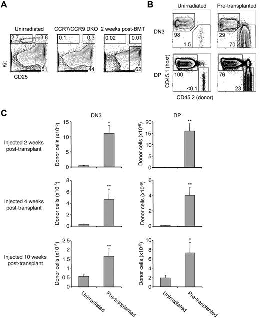 Figure 5. Chronic vacancy of intrathymic progenitor niches after BMT. (A) Thymi from unirradiated, CCR7/CCR9 DKO, or 2 weeks post-BMT mice were analyzed for the frequency of Kithigh thymic progenitors. Shown are representative plots gated on Lin− thymocytes. (B) Sorted CD45.2 donor BM Lin−Kit+Flt3high progenitors were injected intrathymically into either unirradiated CD45.1 hosts (left column) or CD45.1 hosts that had been lethally irradiated and transplanted with 2.5 × 105 CD45.1 BM cells 2 weeks earlier (right column). Recipient thymi were analyzed for donor contributions 2 weeks later. Shown are representative plots of thymic DN3 cells (top row) or DP cells (bottom row). (C) The mean numbers ± SEM of donor DN3 cells (left) and DP cells (right) in the recipient thymi described in panel B are shown (top row). The same experiment was also performed with recipients that had undergone BMT 4 weeks (middle row) or 10 weeks (bottom row) before intrathymic injection. *P < .05, compared with the corresponding unirradiated control. **P < .01 compared with the corresponding unirradiated control. N = 3 to 10 per group.