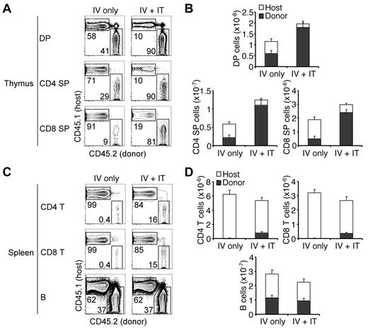 Figure 6. Limiting numbers of thymic progenitors delay T-lineage recovery. (A) CD45.1 WT host mice were sublethally irradiated and intravenously injected with 2.5 × 105 CD45.2 WT BM cells. Immediately thereafter, one group of mice received PBS intrathymically (IV only), whereas another group received 3 × 104 CD45.2 Lin− BM cells intrathymically (IV + IT). Host thymi and spleens were analyzed for donor contributions 4 weeks later. Shown are representative plots of thymic DP (top row), CD4 SP (middle row), and CD8 SP (bottom row) cells from mice in the indicated groups. (B) Mean numbers ± SEM of host and donor thymic DP (top panel), CD4 SP (bottom left panel), and CD8 SP (bottom right panel) cells from the chimeras described in panel A. P values for comparisons of donor DP cell numbers between the 2 groups, .01; of donor CD4 SP cell numbers, .002; of donor CD8 SP cell numbers, .0003. (C) Shown are representative plots of splenic CD4 T (top row), CD8 T (middle row), and B (bottom row) cells from mice in the indicated groups described in panel A. (D) Graphs show the mean number ± SEM of host and donor splenic CD4 T (top left panel), CD8 T (top right panel), and B (bottom panel) cells from the chimeras described in panel A. P values for comparisons of donor CD4 cell numbers between the 2 groups, .007; of donor CD8 cell numbers, .005; of donor B cell numbers, .41. N = 4 or 5 per group.