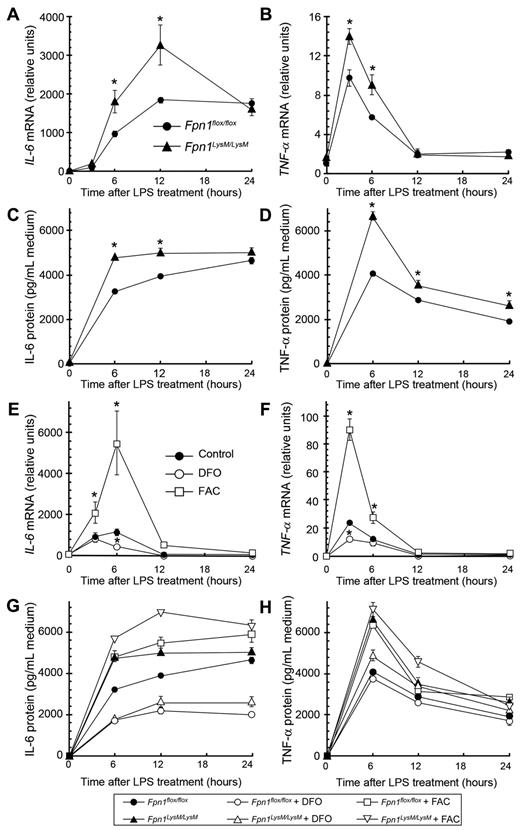 Figure 6. Intracellular iron increases IL-6 and TNF-α expression and secretion in BMDMs. (A-D) BMDMs were isolated from Fpn1flox/flox and Fpn1LysM/LysM mice and incubated with 100 ng/mL LPS for the times indicated. Relative IL-6 (A) and TNF-α (B) mRNA levels, and IL-6 (C) and TNF-α (D) protein concentrations in the cell culture medium. (E-F) Relative IL-6 (E) and TNF-α mRNA (F) levels in BMDMs from wild-type mice. Cells were incubated overnight with FAC (100μM) or DFO (50μM) and then treated with 100 ng/mL LPS for the times indicated. (G-H) BMDMs from Fpn1flox/flox and Fpn1LysM/LysM mice were incubated overnight with FAC (100μM) or DFO (50μM) and then treated with 100 ng/mL LPS for the times indicated. IL-6 (G) and TNF-α (H) protein concentration in the cell culture medium. Data are representative of 3 independent experiments with similar results. For quantitative RT-PCR analysis, results were normalized to the internal control β-actin and presented as relative expression level calculated by the 2ΔΔCt method. Data are mean ± SEM. *P < .05.