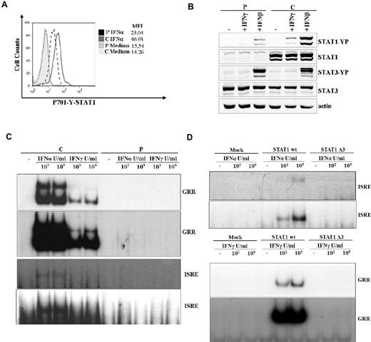 Figure 2. G372C mutation is associated with abnormal phosphorylation and DNA binding activity. (A) Flow cytometric analysis of STAT1 phosphorylation (Y701) of T cells (CD3+) after treatment with IFN-α (40 U/μL) or medium alone for 20 minutes at 37°C. Mean fluorescence intensity is indicated. The results are representative of 4 independent experiments. (B) EBV-transformed B cells derived from the patient and a control subject were cultured for 30 minutes with IFN-γ (100 ng/mL), IFN-β (100 ng/mL), or medium alone to analyze STAT1 and STAT3 activation by Western blot. Western blot was carried out with an antibody against Tyr701-phosphorylated STAT1, Tyr705 phosphorylated STAT3, STAT1, STAT3, and actin as a reference. (C-D) DNA-binding activity was analyzed by the electromobility shift activity assay on nuclear extract and carried out in the presence of the 32P-labeled oligonucleotide STAT-binding probe derived from the IFN-γ response region (GRR) and type I ISRE. EBV-transformed B cells from patient and a healthy subject were stimulated with the indicated doses of IFN-α and IFN-γ for 30 minutes. For the GRR and ISRE probe, the top panel and the bottom panel show 2 exposures for short and long times, respectively. (C) The U3C cell line was transfected with mock, STAT1 wt, and STAT1Δ3 mutant alleles and stimulated with the indicated doses of IFN-α and IFN-γ for 30 minutes. For the GRR and ISRE probe, the top panel and the bottom panel show 2 exposures for short and long times, respectively (D).