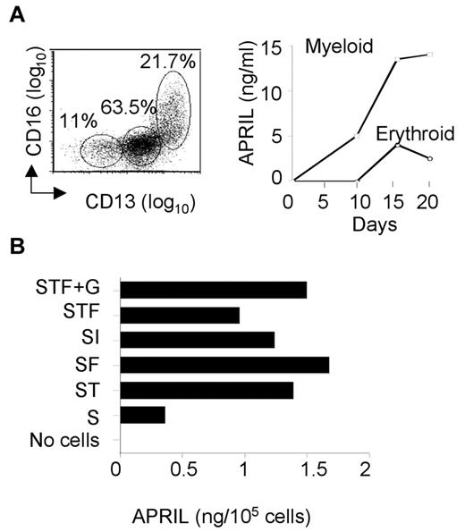 Figure 3. Early hematopoietic factors induce APRIL expression in myeloid precursor cells. (A) Human HSCs were induced to differentiate in granulocytes or erythrocytes. (Left) CD13 and CD16 expression on cells at the end of a granulocyte differentiation culture. Percentages of cells in each subset are indicated. (Right) APRIL secretion determined by ELISA in culture supernatants. The results are representative of 3 independent experiments. (B) HSCs were induced to differentiate with the indicated cytokines (S, SCF; T, TPO; F, FLT3-L; G, G-CSF; I, IL-3). The production of APRIL (nanograms per 105 cells) at day 8 is shown. Data are representative of 3 independent experiments.