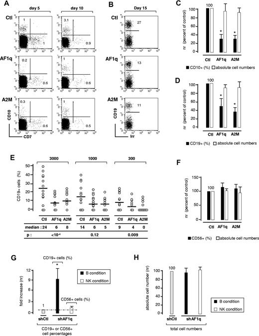 Figure 2. Effect of AF1q on B-cell differentiation. (A,C) AF1q antagonizes the emergence of CD7−CD10+ pre-pro-B cells in serum-free cultures. CD34+Lin− HPCs were transduced with AF1q, A2M, or the empty vector (Ctl), sorted based on GFP expression, and cultured for 5-11 days with SCF, FLT3L, TPO, and IL-7 under serum-free conditions. (A) Flow cytometry dot-plots of GFP+-gated cells. Numbers in quadrants indicate the percentage of each population. Data are from 1 of 4 independent experiments. (C) Relative quantification of the effect exerted by AF1q or A2M on CD7−CD10+ pre-pro-B-cell differentiation or overall cell proliferation. To limit experimental variability due to donor effect, results are normalized relative to CD10+ cell percentages and absolute cell numbers in cultures of empty vector–transduced cells (Ctl). Data are means ± SD percentages of 4 independent experiments. Statistically significant differences (P < .05, Student t test) in percentages or absolute numbers between AF1q/A2M and the control conditions are marked by asterisks. (B,D) AF1q antagonizes B-cell development in cocultures onto MS5 cells. (B) CD34+ HPCs transduced as above with AF1q, A2M, or the empty vector were seeded onto MS5 cells and cultured for 2 weeks in the absence of exogenous cytokines before absolute cell numbers and CD19+GFP+ B-cell percentages were determined. Data are representative of 1 of 4 independent experiments. (D) Relative quantification of the effect exerted by AF1q and A2M on B-cell development (CD19+ B-cell percentages) or global cell expansion (total cell numbers); results are normalized relative to percentages of CD19+ cells and absolute cell numbers in cultures of empty vector–transduced cells (Ctl). Irr indicates irrelevant antibody. Data are means ± SD percentages of 4 independent experiments. Statistically significant differences are indicated. (E) Limiting-dilution analysis. CD34+ HPCs were transduced and cultured as above. Positive wells were scored on day 14 and analyzed by FACS as indicated above. Empty circles represent CD19+ B-cell percentages. FACS analysis was restricted to cell-containing wells. Medians and P values are indicated. Statistical significance was determined by the Wilcoxon test. (F) AF1q does not affect NK-cell development. CD34+ HPCs transduced with AF1q, A2M, or the empty vector and sorted as above were seeded onto MS5 cells and cultured for 3 weeks with SCF, FLT3L, IL-2, IL-7, and IL-15 before absolute cell numbers and CD56+GFP+ NK-cell percentages were determined. Results are normalized relative to CD56+ cell percentages and absolute cell numbers in cultures of empty vector–transduced cells (Ctl). Means ± SD percentages of 4 independent experiments are shown. (G-H) AF1q deficiency enhances B-cell differentiation. CD34+ HPCs transduced with lentiviral vectors driving the expression of shRNA54 (shAF1q) or scrambled shRNAs (shCtl) were seeded onto MS5 cells and cultured under conditions that promote B-cell (black bars) or NK-cell (empty bars) development. CD19+ and CD56+ cell percentages (G) and absolute numbers (H) were determined by FACS. Results are normalized relative to the control condition (shCtl). Means ± SD of 4 independent experiments are shown. Statistically significant differences are indicated.
