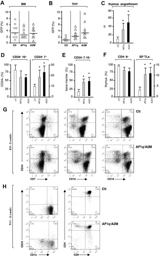 Figure 6. Effect of forced AF1q expression on T-cell development in humanized mice. (A-B) CD34+ HPCs (1.5 × 105 cells) exposed to the AF1q, A2M, or empty vectors were injected intravenously into irradiated NSG mice, and the BM, spleen, and thymus were harvested 8 weeks later. Single-cell suspensions were analyzed by multicolor flow cytometry to determine the extent of CD45+GFP+ chimerism and for phenotyping the cells. Percentages of GFP+ cells among CD45+ human cells present in the BM (A) or the thymus (B) of individual recipient mice are shown (transduction efficiency: 14% ± 2%; 8 mice per condition; 2 experiments). Median percentages are indicated by a horizontal bar. (C) Effect of AF1q or A2M on thymus colonization. The efficiency of thymus engraftment was calculated as the ratio of GFP+CD45+ cell percentages detected in the thymus and BM of individual mice. Statistically significant differences (P < .05; Student t test) between AF1q/A2M and control mice are marked by asterisks. (D-F) Percentages of CD7+ and CD10+ lymphoid precursors (D) or of multipotent CD7−CD10− HPCs (E) among CD34+GFP+CD45+ BM cells. (F) percentages of CD4+CD8+ and CD4+/−CD8+/− single-positive T cells among thymic GFP+CD45+ cells. Means ± SD percentages are shown. Statistically significant differences are marked as above. (G-H) Flow cytometric analysis of CD45+GFP+ cells in the BM (H) and thymi (I) of individual mice at week 8 after grafting. Numbers in quadrants indicate the percentages of each population.