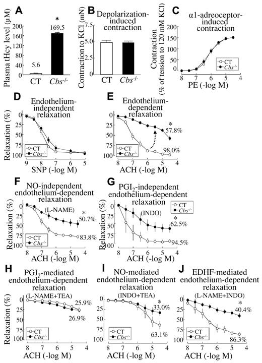 Figure 1. HHcy impaired endothelium-dependent and EDHF-mediated vascular relaxation in SMAs of Tg-hCBS Cbs mice. SMAs were isolated from Tg-hCBS Cbs mice. (A) Plasma total Hcy levels. (B-C) Vascular contractile responses to KCl (120mM) and to cumulative additions of PE. (D) Endothelium-independent relaxation. SMAs were precontracted with PE (1μM) and examined for relaxation to cumulative additions of SNP. (E) Endothelium-dependent relaxation. SMAs were precontracted with PE and examined for relaxation to ACH. (F) NO-independent relaxation. SMAs were pretreated with the NOS inhibitor L-NAME (100μM), precontracted with PE, and examined for relaxation to ACH. (G) PGI2-independent relaxation. SMAs were pretreated with the nonselective COX inhibitor INDO (10μM), precontracted with PE, and examined for relaxation to ACH. (H) PGI2-mediated relaxation. SMAs were pretreated with the NOS inhibitor L-NAME (100μM) and the nonselective KCa blocker TEA (1mM), precontracted with PE, and examined for relaxation to ACH. (I) NO-mediated endothelium-dependent relaxation. SMAs were pretreated with the nonselective COX inhibitor INDO (10μM) and the nonselective KCa blocker TEA, precontracted with PE, and examined for relaxation to ACH. (J) EDHF-mediated endothelium-dependent relaxation. SMAs were pretreated with INDO and the NOS inhibitor L-NAME, precontracted with PE, and examined for relaxation to ACH. Values are means ± SEM (n = 5-7 mice, 2 vessel segments/mouse). *P < .05 compared with control mice. CT indicates the control group.