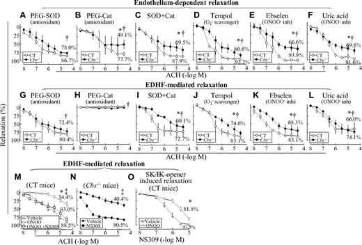Figure 5. HHcy-impaired endothelium-dependent and EDHF-mediated relaxation occurs via oxidative stress in SMAs of Tg-hCBS Cbs mice. (A-F) Endothelium-dependent relaxation response to cumulative concentrations of ACH in SMAs pretreated with indicated inhibitors for 1 hour. (G-L) EDHF-mediated relaxation to cumulative additions of ACH in SMAs pretreated with indicated inhibitors for 1 hour, and with the COX inhibitor INDO (1μM) plus the NOS inhibitor L-NAME (100μM) for another 30 minutes. (M) ONOO−-inhibited EDHF-mediated relaxation in SMAs of control mice. EDHF-mediated relaxation to cumulative concentrations of ACH was assessed in SMAs pretreated without and with ONOO− (100μM) for 30 minutes, followed by the SK/IK opener NS309 (1μM) in the presence of INDO and L-NAME for an additional 30 minutes. (N) The SK/IK opener NS309 restored EDHF-mediated relaxation in Cbs−/− mice. EDHF-mediated relaxation to cumulative concentrations of ACH was assessed in SMAs pretreated with the SK/IK opener NS309 (10μM) in the presence of INDO and L-NAME for 30 minutes. (O) ONOO−-inhibited SK/IK opener-mediated relaxation in SMAs of control mice. Vascular relaxation response to cumulative additions of NS309 (10nM-10μM) was assessed in SMAs pretreated without and with ONOO− (100μM) for 30 minutes followed by INDO and L-NAME for an additional 30 minutes. SMAs were precontracted with PE (1μM). Values are means ± SEM (n = 5-7 mice). *P < .05 compared with control mice in the experiment shown in Figure 1D and G; †P < .05 compared with CBS−/− mice in Figure 1D and G; and ‡P < .05 compared with the NS309-treated group in Figure 1D and G. CT indicates the control group.