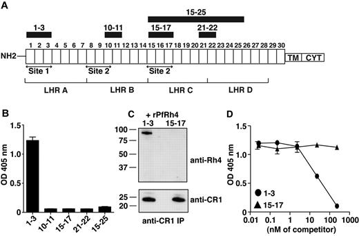 Figure 1. PfRh4 interacts with the N-terminal 3 CCPs of CR1. (A) Schematic of CR1 polypeptide. Each box labeled 1 to 30 represents a complement control protein module (CCP) of 60-70 amino acid residues. The first 28 CCPs are organized based on homology into 4 long homologous repeats (LHRs) A-D, each consisting of 7 CCPs. The functional sites of CR1 are labeled site 1 and site 2. The recombinant CR1 fragments used in this study are indicated as black bars with relevant CCPs labeled above. NH2 indicates amino terminus; TM, transmembrane domain; and CYT, cytoplasmic tail. (B) Recombinant PfRh4 binds to CCP1-3. An ELISA was used to measure the interaction between CR1 fragments and rPfRh4. Microtiter wells were coated with CCP1-3, CCP10-11, CCP15-17, CCP21-22, or CCP15-25 at 0.5 μg/well. Recombinant PfRh4 was added at 0.5 μg/well. Bound PfRh4 was detected with an anti-PfRh4 monoclonal antibody 10C9. (C) Recombinant PfRh4 forms a complex with CCP1-3 but not CCP15-17. Immunoprecipitation experiments were performed in which combinations of recombinant proteins CCP1-3/rPfRh4 or CCP15-17/rPfRh4 were incubated with an anti-CR1 monoclonal antibody 1B4. For Western blot analyses of immunoprecipitated eluates, soluble CR1 fragments were detected with anti-CR1 monoclonal antibody 1B4 and rPfRh4 was detected with 10C9 monoclonal antibody. (D) Binding of sCR1 to rPfRh4 was inhibited by CCP1-3. Microtiter plates were coated with saturating concentrations of rPfRh4 (5 μg/well). CCP1-3 or CCP15-17 at concentrations of 0nM, 0.02nM, 0.23nM, 2.3nM, 23nM, or 234nM was incubated with sCR1 (23nM) before addition to wells. Interaction between sCR1 and PfRh4 was detected using anti-CR1 antibody HB8592, which detected sCR1 and not smaller CR1 fragments. ELISA experiments in panels B and D were repeated with similar results and their y-axis represent A405 nm with error bars showing the range of duplicate readings.