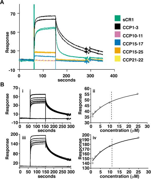 Figure 2. Delineation of PfRh4 binding sites on CR1 and KD measurements by SPR. (A) Recombinant PfRh4 binds to sCR1 and CCP1-3 as shown by SPR. Duplicate injections of sCR1 and smaller CR1 fragments, all at a concentration of 5μM, were performed over a CM5 chip that was coupled with rPfRh4. A small fraction of inactive rPfRh4 present on the chip surface triggers nonspecific background binding for the first analyte samples to be assayed (CCP1-3 and sCR1), as manifested in imperfect reproducibility of the sensorgrams. After saturation of this nonspecific binding capacity, duplicate injections are of acceptable reproducibility (all other constructs). (B) Use of SPR to measure the dissociation constant (KD) of CCP1-3 for PfRh4. The left-hand panels show duplicate sensorgrams for a range of increasing CCP1-3 concentrations (1.0μM, 2.5μM, 5.0μM, 10.0μM, and 25.0μM, bottom to top) flowing over a CM5-chip surface with a loading of 410 RUs (i) and 1480 RUs (iii) of rPfRh4. The right-hand panels show plots of the RUs versus CCP1-3 on 2 different flow cells, coupled with 410 RUs (ii) and 1480 RUs (iv) of rPfRh4. The dashed vertical line indicates the KD fitted to both plots simultaneously. In all panels, blank-subtracted sensorgrams are shown.