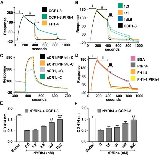 Figure 7. PfRh4 disrupts CR1's decay accelerating activity. (A) Decay acceleration of C3bBb was inhibited on PfRh4 binding. SPR was used to monitor formation of the C3bBb convertase complex as factor D and factor B were flowed together over C3b that was amine-coupled to a CM5 sensor chip (i, C3bBb formation). The subsequent decline in response reflects decay of the complex as Bb is released from the chip surface (ii, spontaneous decay). The rate of decay was accelerated by initiating a flow of CCP1-3 or factor H CCP1-4 (FH1-4; iii, analyte injection), but not when CCP1-3 was in the presence of 3-fold molar excess of rPfRh4. In panels A-D, any convertases remaining were decayed by injecting FH1-4 at ∼ 800 seconds to aid regeneration (B) Decay-acceleration of CCP1-3 was affected in a dose-dependent manner by rPfRh4. The rate of decay was monitored in the presence of increasing concentrations of rPfRh4. A small fraction of inactive rPfRh4 present on the surface triggers nonspecific background binding when the first duplicate injection was assayed. (CCP1-3 in 3-fold molar excess of PfRh4) as manifested in the imperfect reproducibility of the sensorgrams. After saturation of this nonspecific binding capacity, injections were of acceptable reproducibility (all other constructs). (C) Decay-acceleration activity of sCR1 was affected by presence of rPfRh4. Shown are binding responses for sCR1, and for sCR1 in the presence of a 5-fold molar excess of PfRh4, of the convertase C3bBb (+C) or C3b alone (−C). Three C3b-binding sites in sCR1 mediate the overall high binding levels to both the convertase and C3b alone. Only sCR1 binding to the convertase (+C) shows a distinctive association curve that is consistent with an initially enhanced binding of sCR1 to the convertase, followed by 2 simultaneous, overlapping processes: accelerated decay of C3bBb into Bb and surface-bound C3b, and binding of sCR1 to C3b. (D) Decay acceleration by factor H CCP1-4 was not affected by rPfRh4. Assays shown in panels A and C, and in panels B and D were performed on identical biosensor surfaces. (E) Hemolysis assay for the classic pathway. The classic pathway C3 convertase was assembled on the surface of antibody-sensitized sheep erythrocytes. PfRh4 plus CCP1-3 were pre-incubated before mixing with sheep erythrocytes. Cellular lysis was induced by the addition of guinea pig serum and monitored by the O.D. of the supernatant at 414nM. CCP1-3 was used at a concentration of 6.8nM. (F) Hemolysis assay for the alternative pathway. The alternative pathway convertase was prepared using EAC14 cells by the addition of C2 and C3. PfRh4 plus CCP1-3 were preincubated and these mixtures were then added to EAC43 cells and the alternative pathway components factor B, factor D, and properdin and were added and lysis measured as in panel E. A convertase was not formed in the absence of factor B. CCP1-3 was used at a concentration of 34nM. For all panels, **P < .01; ***P < .001).