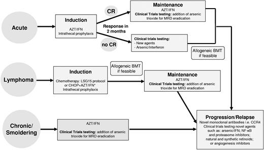 Figure 1. Recommended treatment strategy for patients with acute, lymphoma, or chronic/smoldering ATL. MRD indicates minimal residual disease. Unpublished preliminary results.