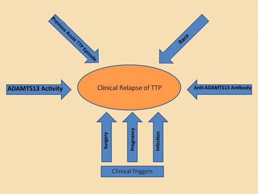 While severely deficient ADAMTS13 activity in remission may be a significant risk factor, additional potential risk factors must also be considered to determine the risk for relapse. It is likely the cumulative effect of all risk factors rather than the just ADAMTS13 activity alone that will accurately estimate the risk of relapse for an individual patient.